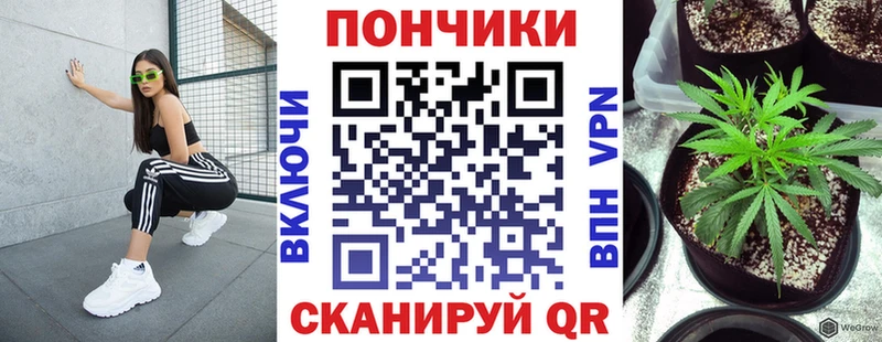 площадка состав  Новоульяновск  Канабис Amnesia 